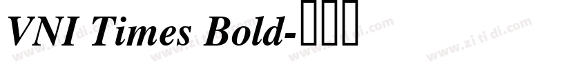 VNI Times Bold字体转换